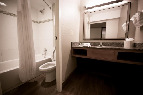 Holiday Inn Raleigh Downtown image 12